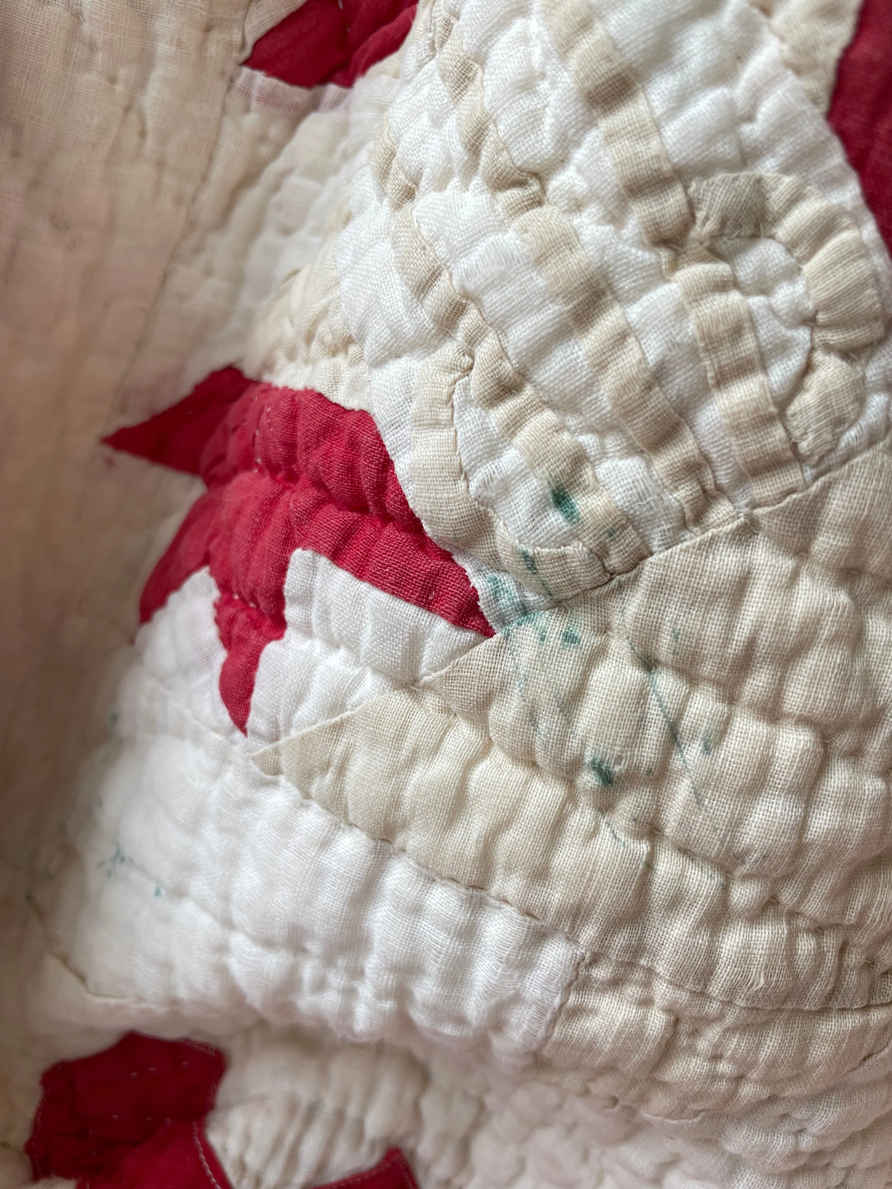 Antique Carolina Lily Quilt