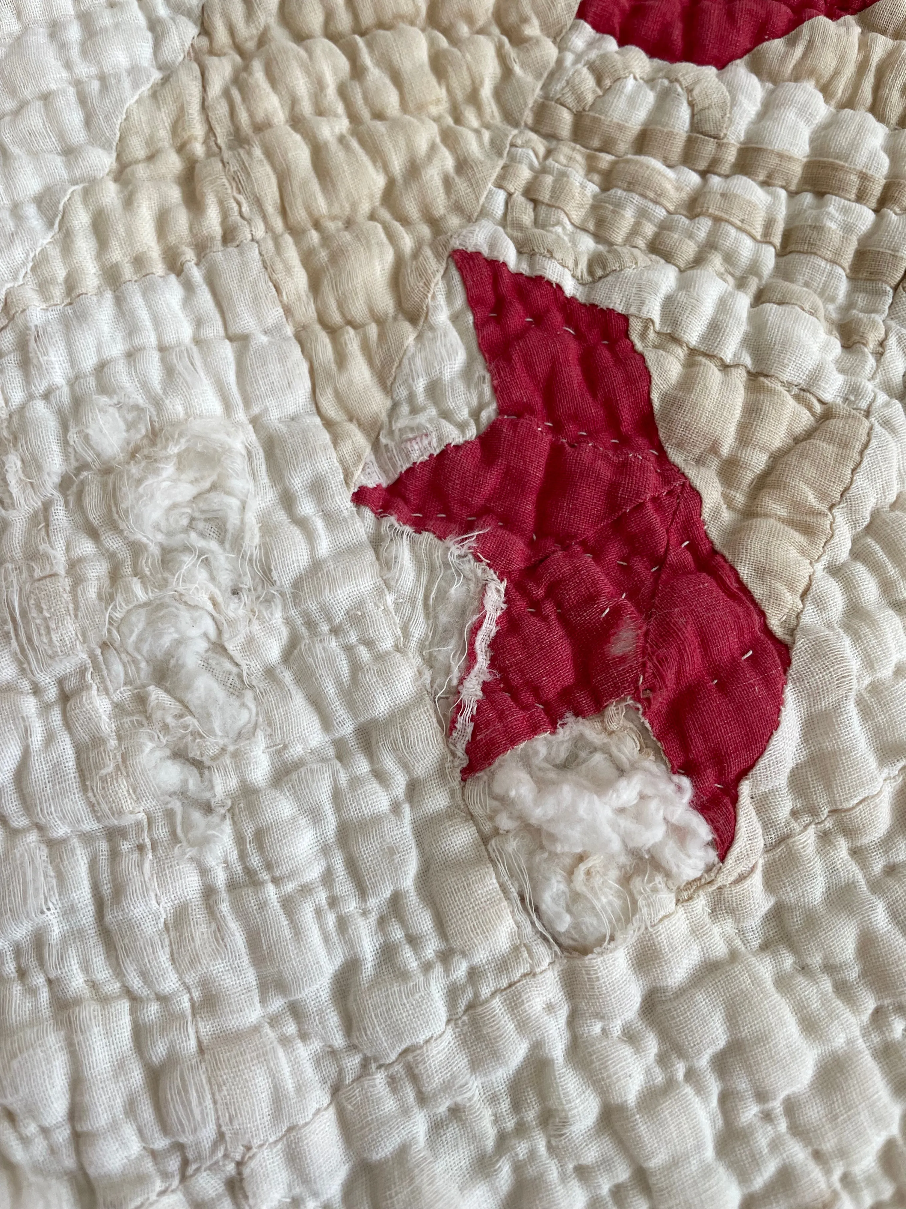 Antique Carolina Lily Quilt