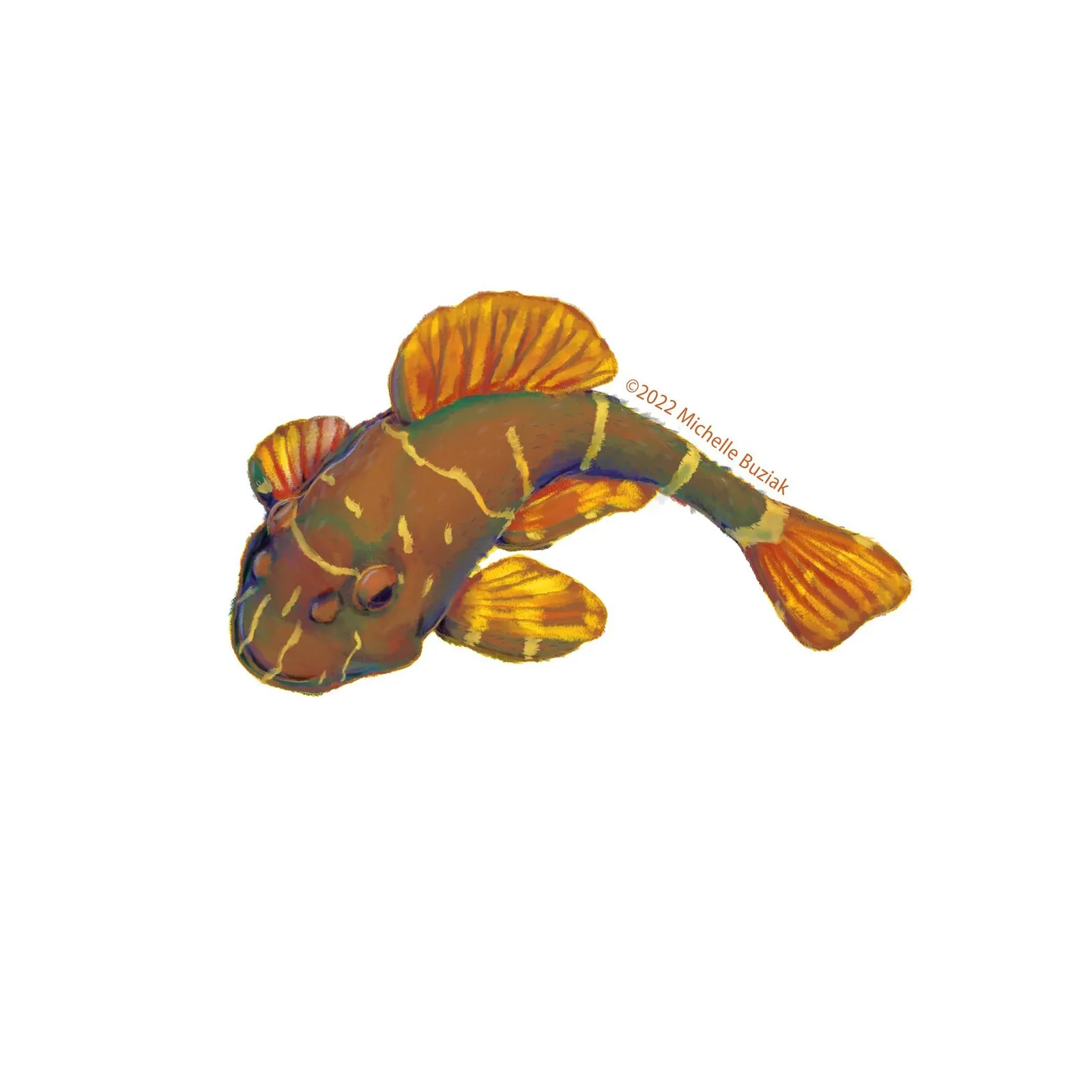 Clown Pleco Fish Sticker