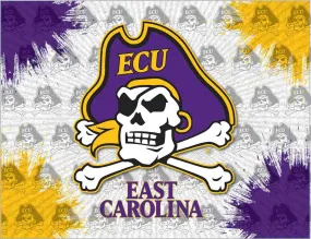 East Carolina Pirates HBS Gray Purple Wall Canvas Art Picture Print