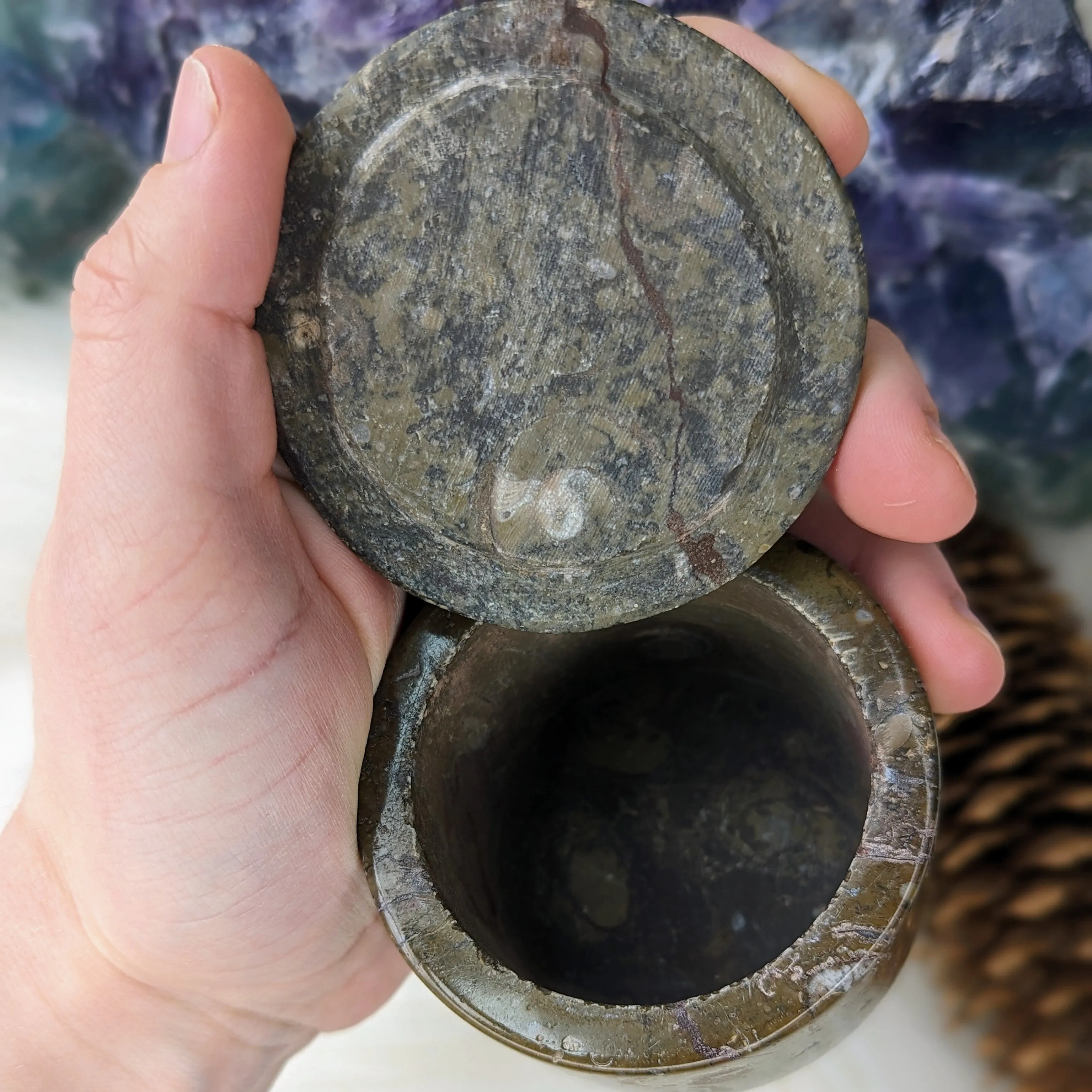 Polished Goniatite Natural Fossil Jewelry and Trinket Box~ Charge with Earth and Cosmic Healing Energies